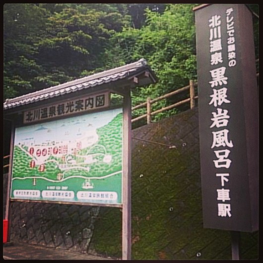 272-黒根