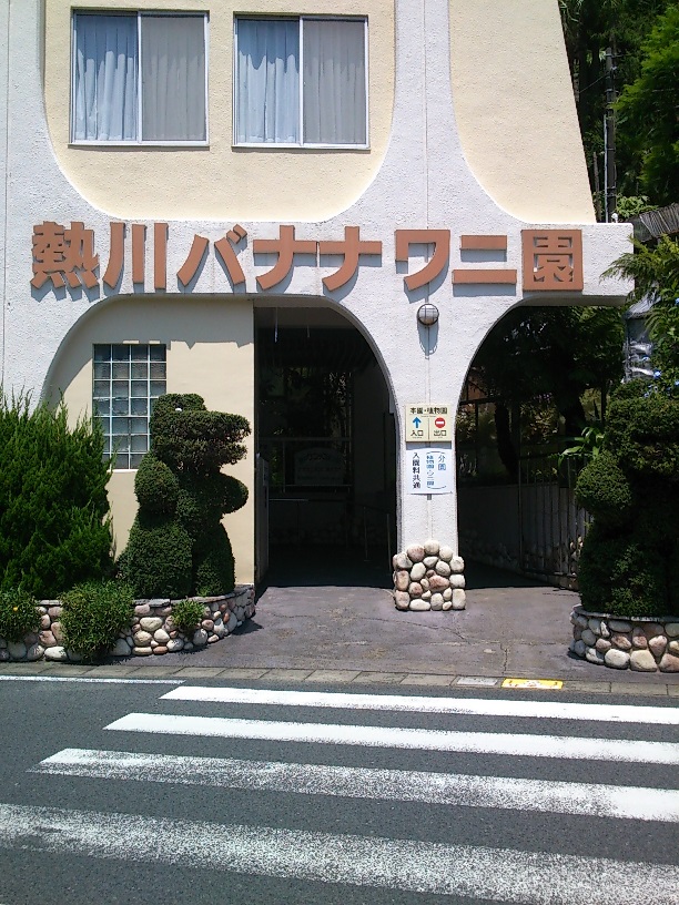 278-ワニ