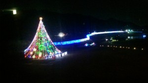 465-DSC_1253