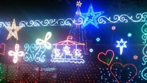 470-DSC_1255-thumb-400x224-469