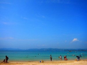 545-写真 (1)-thumb-400x300-544