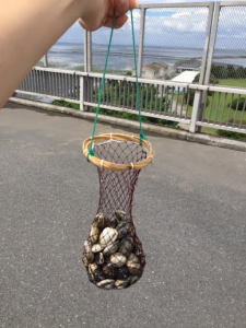 柴田ブログ