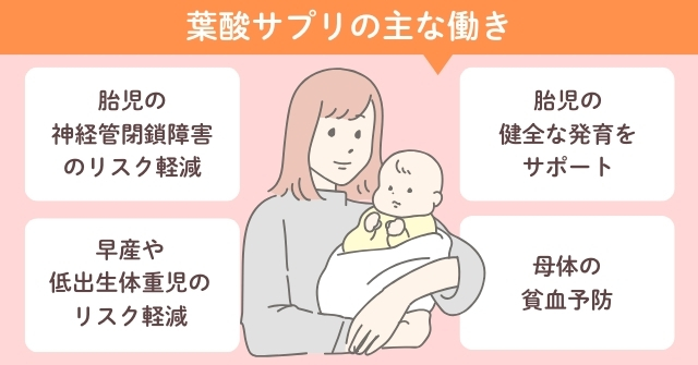 葉酸とは？妊活・妊娠に重要な栄養素